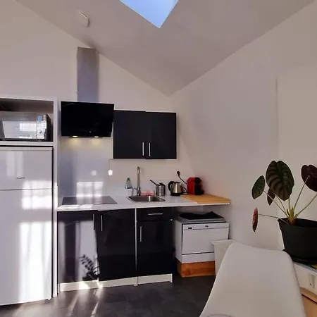 Jasmine-proche Gare Grd Palais Zenith&centre Apartamento