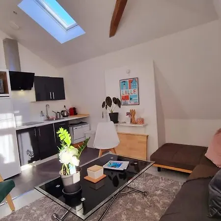 Appartement Jasmine-proche Gare Grd Palais Zenith&centre Lille