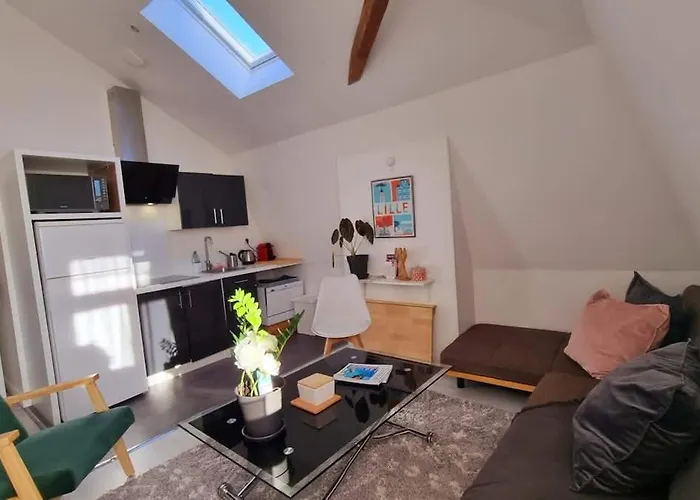 Appartement Jasmine-proche Gare Grd Palais Zenith&centre Lille