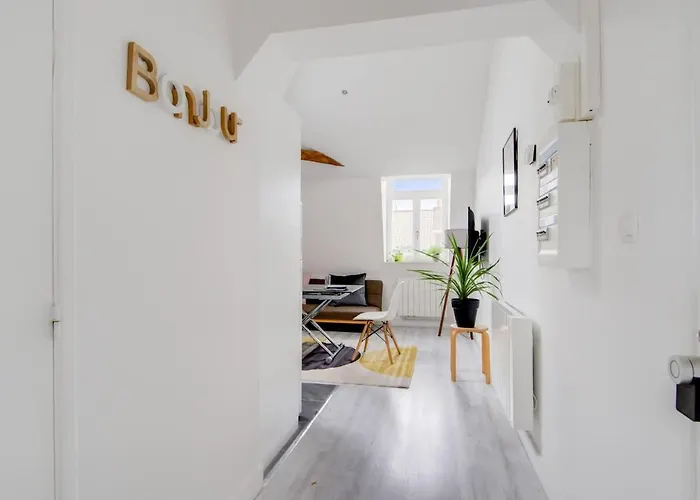 Appartement Jasmine-proche Gare Grd Palais Zenith&centre Lille